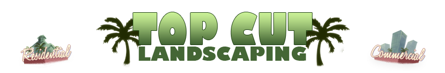 Top Cut Logo